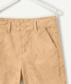 TAO Tropical Leaves Brown Chino Shorts 13206