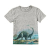 Kids Grey Shirt