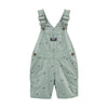 Oshkosh Bgosh Light Green Dino Short Length Cotton Dungaree