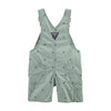 Oshkosh Bgosh Light Green Dino Short Length Cotton Dungaree