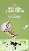 Fashion Push Cart Light Weight Baby Stroller Chair